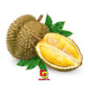 Frozen Durian Pulp Seedless Ri6 (Sầu Riêng Bóc Hạt) 24 x 14 Oz